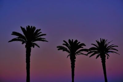 Silhouette palm trees against sky during sunset