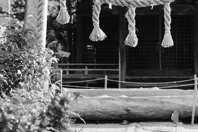 Close-up of hanging outdoors