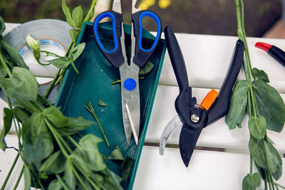 Accessories scissors, shears lie on the bench with a cut-off branches flowers