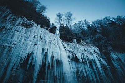 Frozen trees against sky during winter