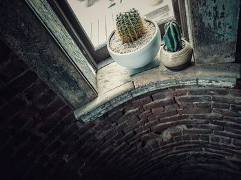 High angle view of potted plant on table