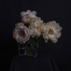 Close-up of white flower vase against black background