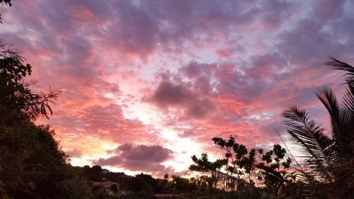 Low angle view of silhouette trees against sunset sky