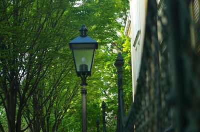Low angle view of bird perching on street light