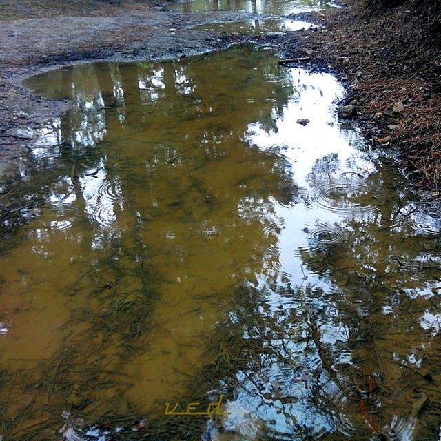 water, reflection, waterfront, lake, nature, tranquility, tree, stream, beauty in nature, forest, flowing water, river, day, tranquil scene, scenics, no people, outdoors, motion, flowing, non-urban scene