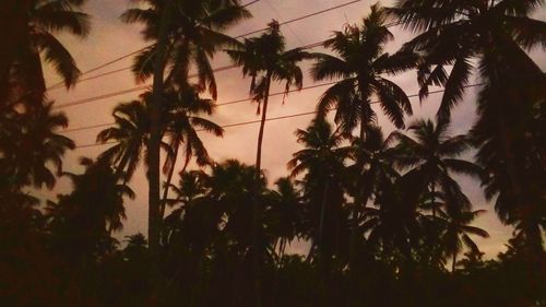 Silhouette palm trees against sky at sunset