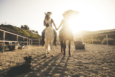 Couple sitting on horse in ranch