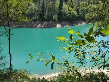 Scenic view of lake