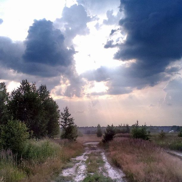 sky, cloud - sky, tranquil scene, tranquility, cloudy, scenics, landscape, beauty in nature, nature, field, cloud, grass, tree, sunset, the way forward, water, dirt road, growth, plant, sunlight