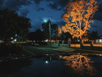 Reflection of trees in water at night