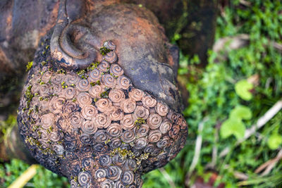 Close-up of garden statue 