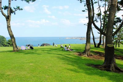 People sitting on tree by sea against sky