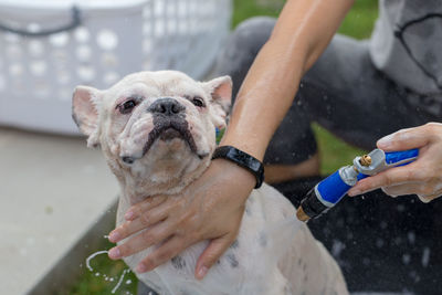 Woman bathing dog at yard