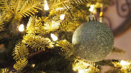 Close-up of christmas tree