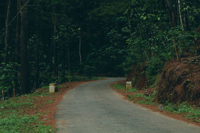 Road amidst trees in forest