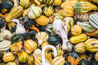 High angle view of pumpkins for sale at market