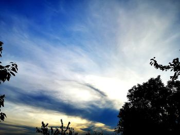 Low angle view of silhouette trees against sky