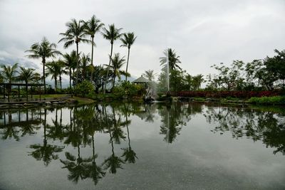 Trees reflecting in pond against sky