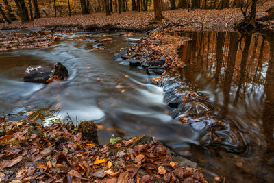 Reflection of autumn leaves on water in lake