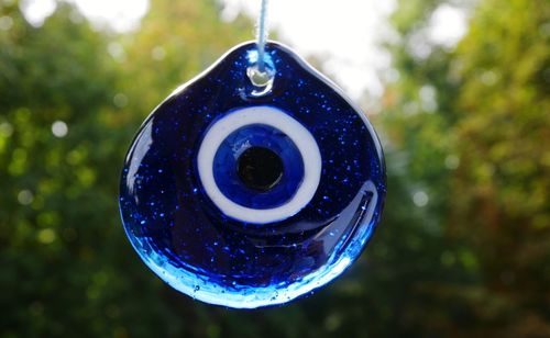 Close-up of blue fish hanging on tree