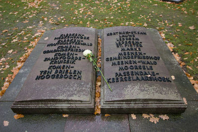 High angle view of text on stone at park