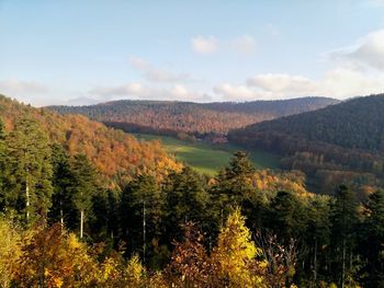 Scenic view of forest against sky during autumn