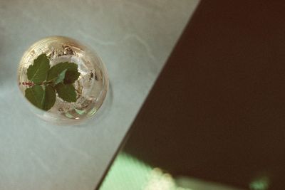Close-up of food on table