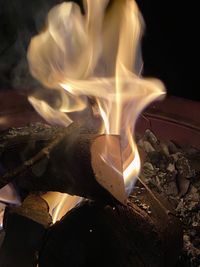 Close-up of burning fire on log at night