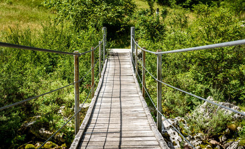 Footbridge amidst trees in forest