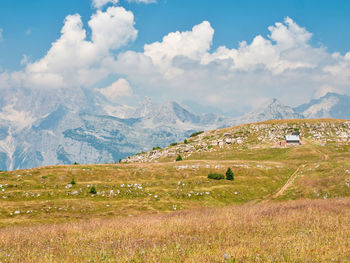 Meadow close to peak of gazza mountain, dolomite alps. wild nature. vezzano region, trentino, italy