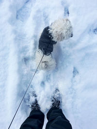 Low section of man standing on snow against sky