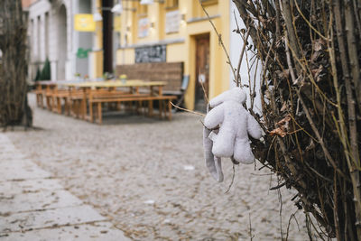 View of a stuffed toy on building