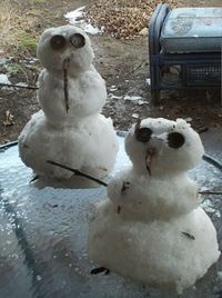 Close-up of snow in winter