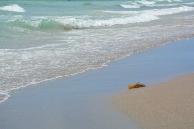 Scenic view breaking surf on shoreline