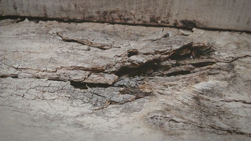 Close-up of cracked wall