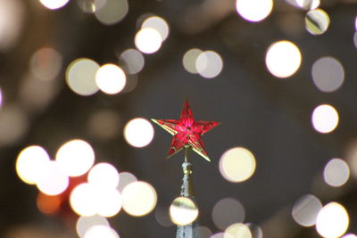 Close-up of illuminated christmas lights