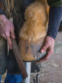 Low section of man holding dog