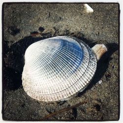 Close up of bottle on shore