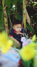 Portrait of cute boy looking at plants