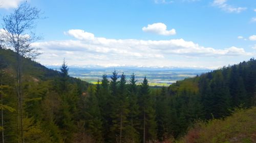 Scenic view of landscape against cloudy sky