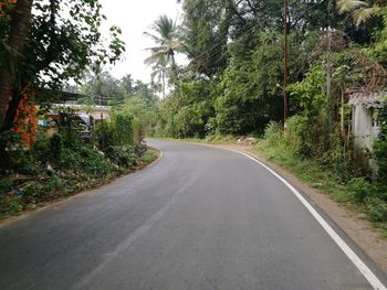 Empty road amidst trees