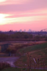 Scenic view of landscape at sunset