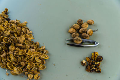 High angle view of walnuts with nutcracker on table