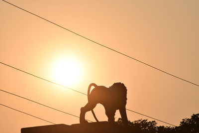 Low angle view of silhouette man riding horse against sky during sunset