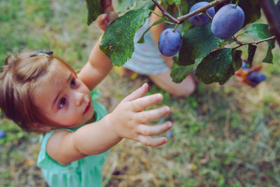Baby girl standing by fruit tree on land