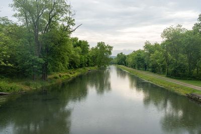 Scenic view of river amidst trees in forest against sky