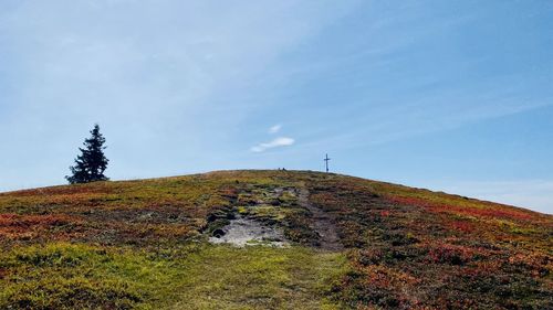 Low angle view of trail against sky during autumn