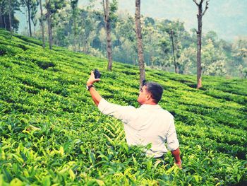 Rear view of man taking selfie while standing in tea far