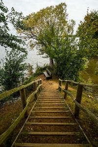 Staircase amidst trees in forest against sky