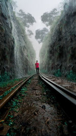 Front view of person on railroad track between valley 